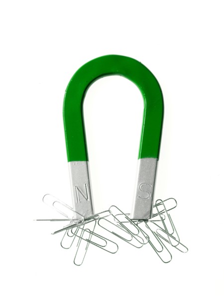Magnet and paper clips. Photo. David Arky