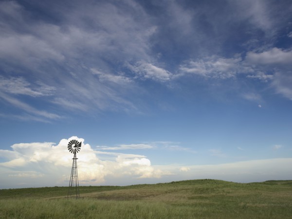 Windmill in field. Photo : John Kelly