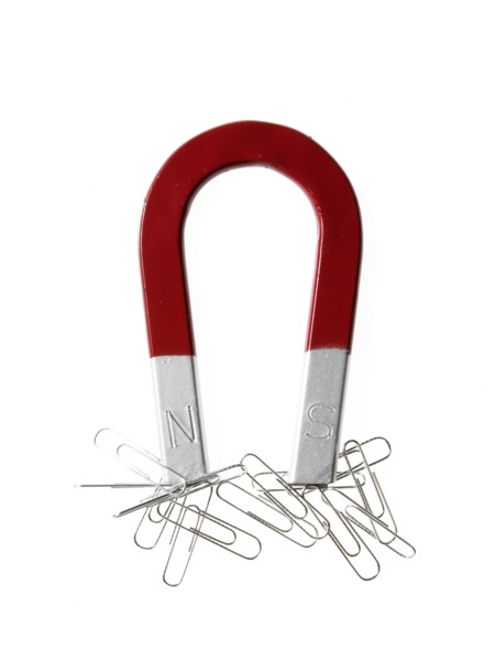 Magnet and paper clips. Photo : David Arky