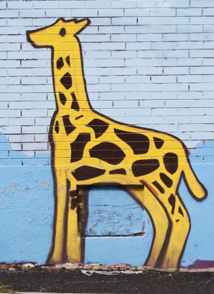 Graffiti drawing of an elephant. Photo : Daniel Grill