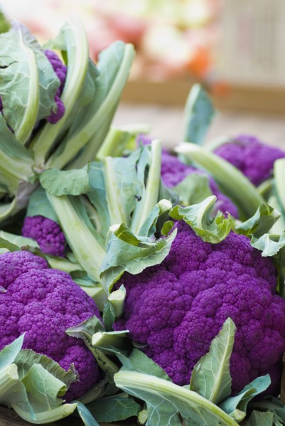 Purple cauliflower. Photo : Antonio M. Rosario