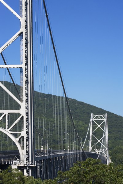 Cable bridge surrounded by trees. Photo. fotog