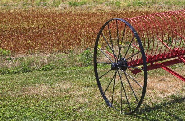 Plow in farmer's field. Photo : fotog