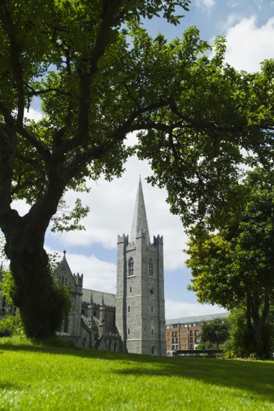 Lawn in front of Saint Patrick's Cathedral.