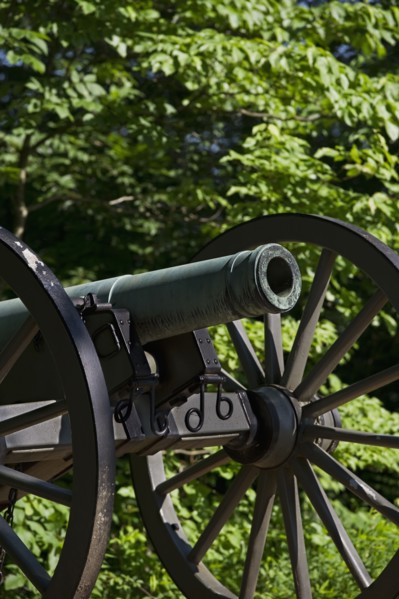 Cannon. Photo : Daniel Grill