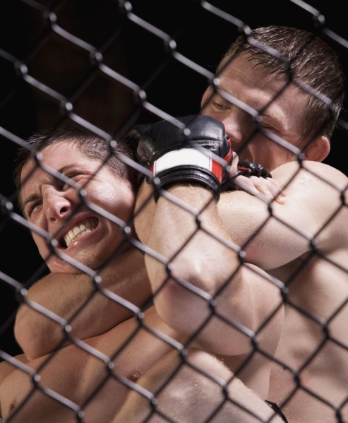 Cage fighters. Photo : Mike Kemp