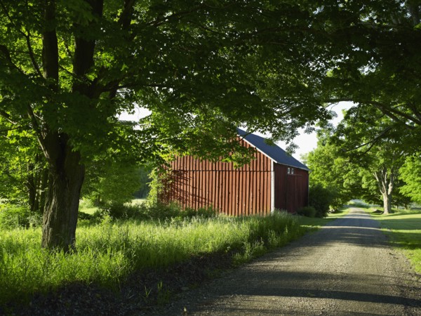 Rural road. Photo : John Kelly