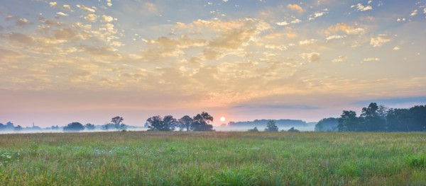 Field at Gettysburg National Military Park.