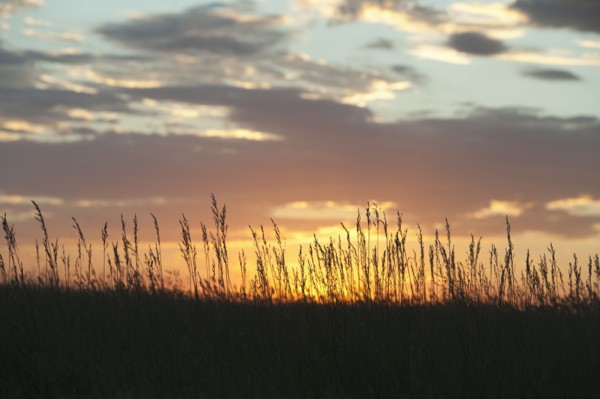 Sunset above prairie.