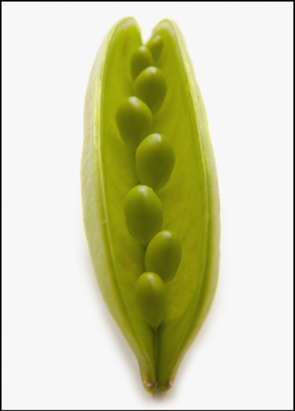 Peas in Pod. Photo : Mike Kemp
