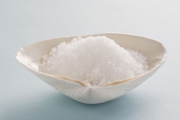 Salt in clam shell. Photo : Chris Hackett