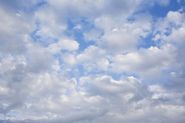 Alto Cumulus clouds. Photo : Chris Hackett