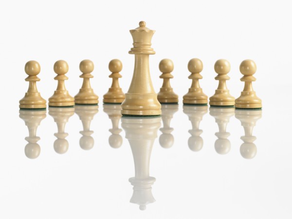 King with pawn chess pieces. Photo : David Arky