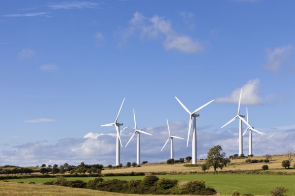 Wind turbines in field. Photo : Jon Boyes