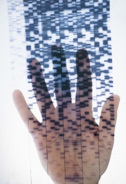 Human hand touching DNA chart.
