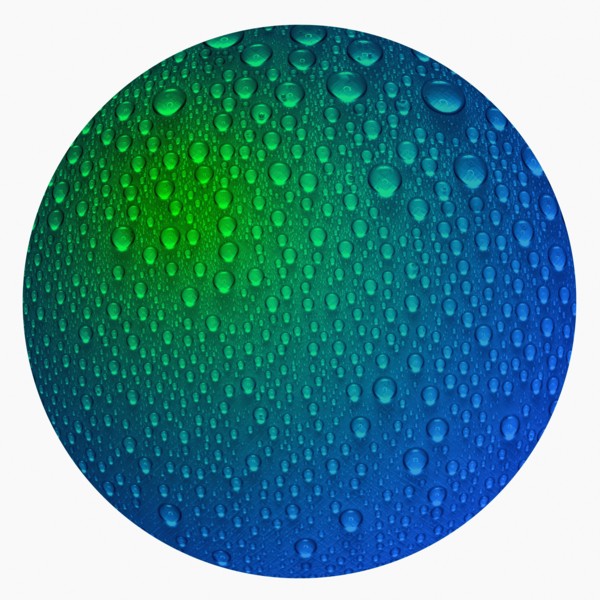 Close-up of wet surface. Photo : David Arky