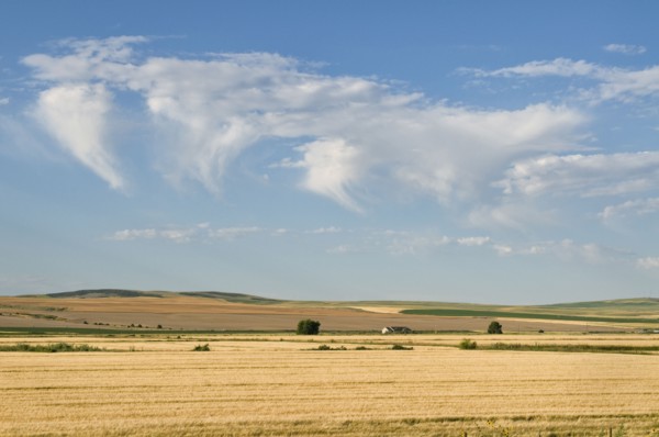 USA, Oregon, Clouds over wheat field. Photo : Gary J Weathers