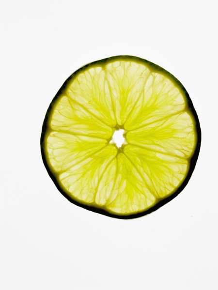 Studio shot of slice of lemon. Photo : David Arky