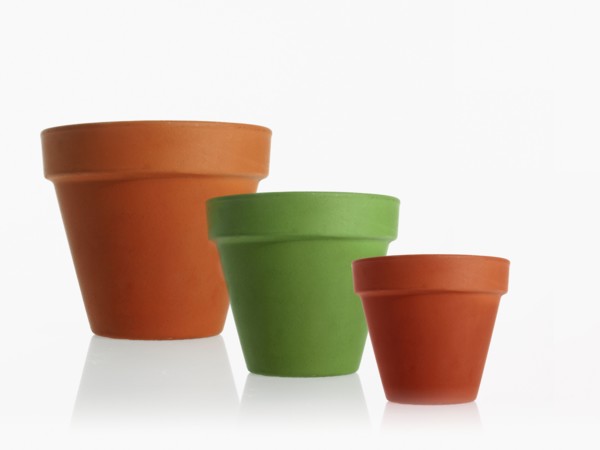 Studio shot of flower pots. Photo : David Arky