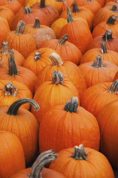 Pumpkins on market stall.