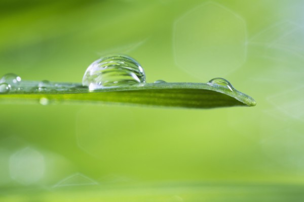 USA, New Jersey, Jersey City, Drop on blade of grass.