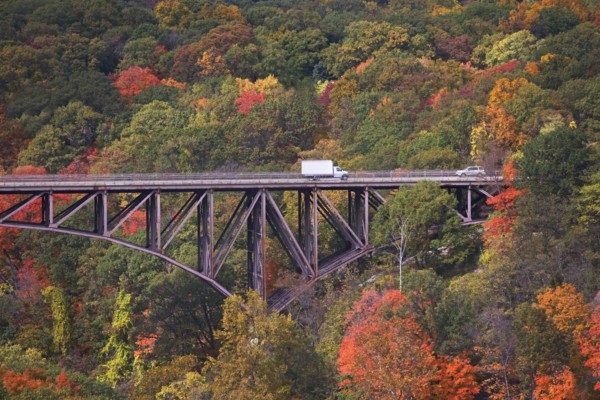 USA, New York, Bear Mountain, bridge in forest. Photo : fotog