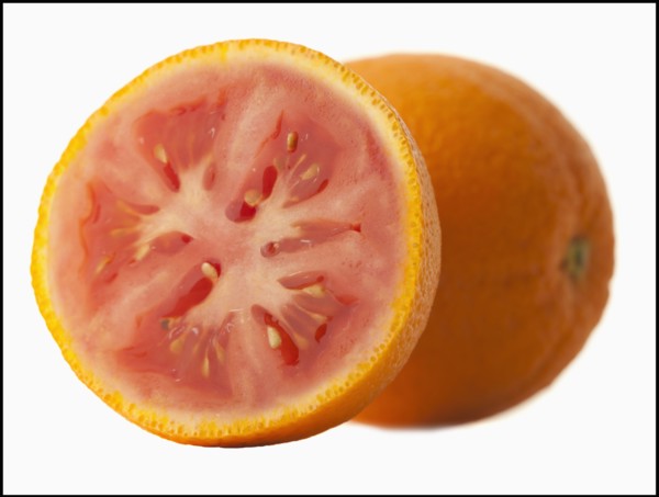 Mixture of orange and tomato. Photo : Mike Kemp
