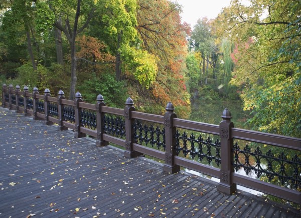 USA, New York City, Central Park, footbridge over lake. Photo : fotog