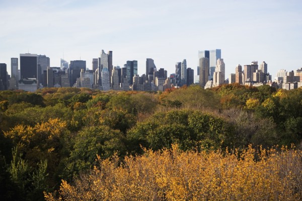 USA, New York City, Manhattan skyline from Central Park. Photo : fotog