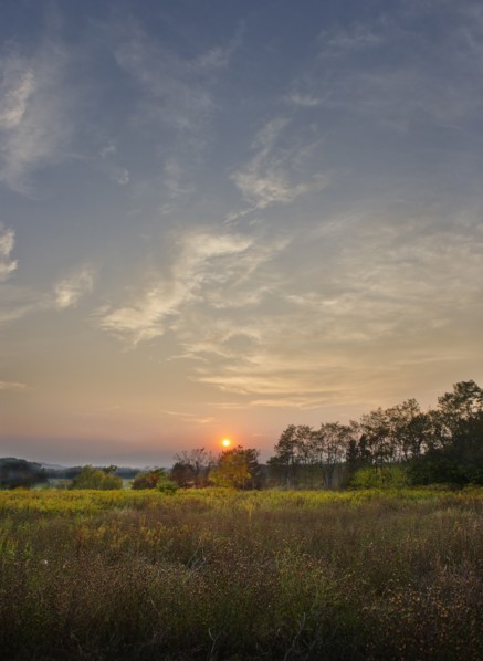 USA, New York, Hudson, Field at sunset.