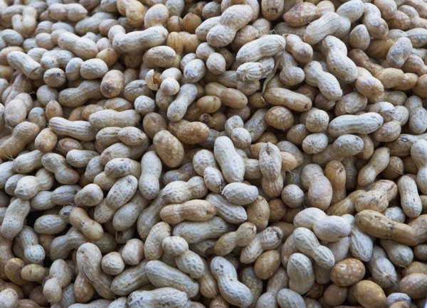 USA, New York City, heap of peanuts. Photo : fotog