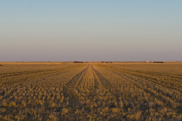 USA, Kansas, field. Photo : Gary J Weathers