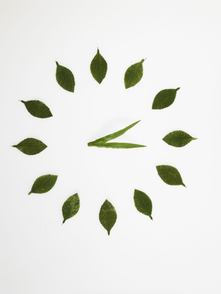 Clock face made of leaves. Photo : David Arky