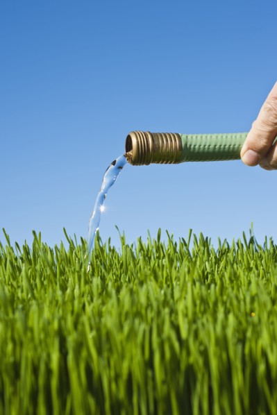 Man watering grass using hose.