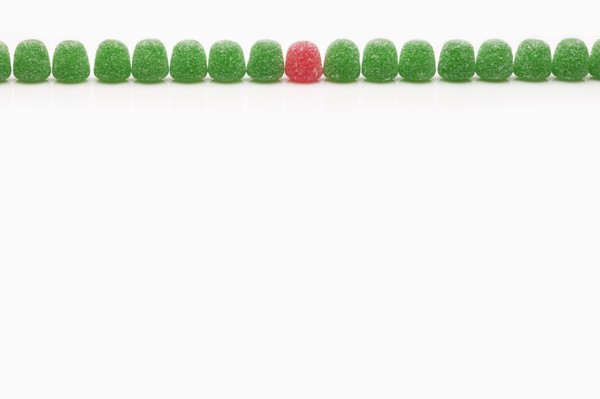 Line of green jellies and one red. Photo : FBP