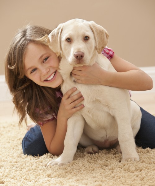 Portrait of girl (10-11) embracing Labrador on carpet. Photo : Mike Kemp