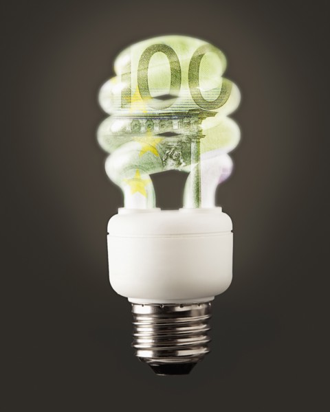 Composition of energy efficient bulb and one hundred euro note. Photo : Mike Kemp
