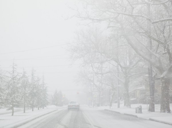 USA, New York State, Rockaway Beach, car on road during blizzard. Photo : Jamie Grill Photography