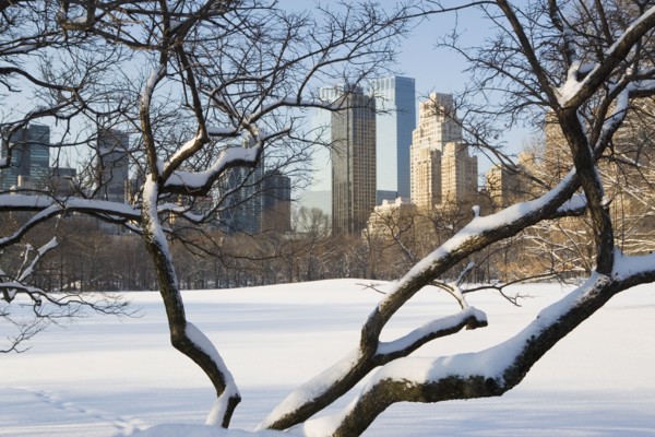 USA, New York City, View of Central Park in winter with Manhattan skyline in background. Photo :