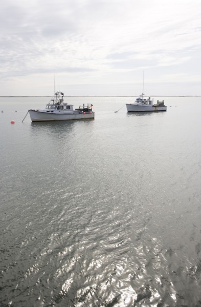 USA, Massachusetts, moored fishing boats. Photo : Chris Hackett