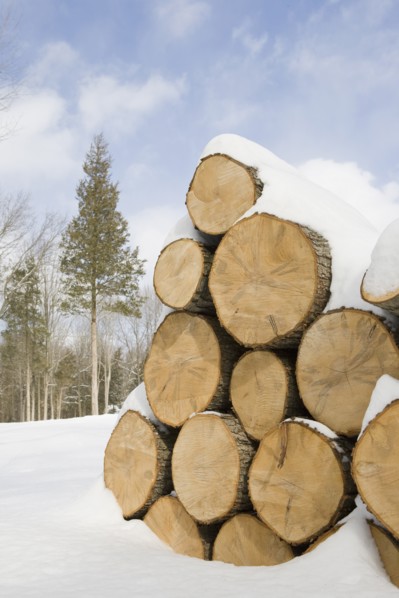 USA, New Jersey, Stack of timber in winter scenery. Photo : Chris Hackett