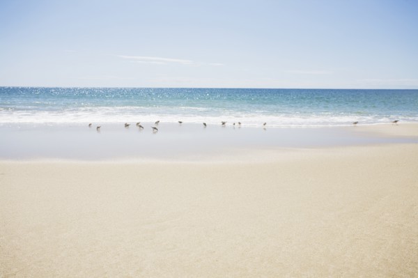 USA, Massachusetts, Empty beach. Photo : Chris Hackett