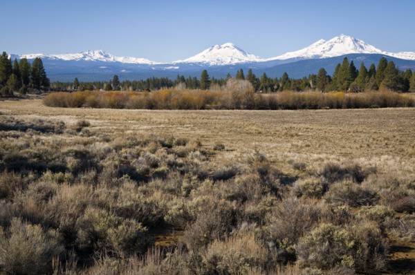 Field with snow covered Cascade mountains in background. Photo: Gary Weathers