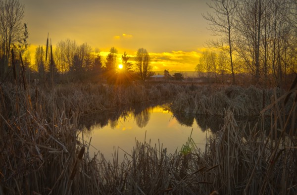 USA, Oregon, Sunset over Marsh. Photo: Gary Weathers