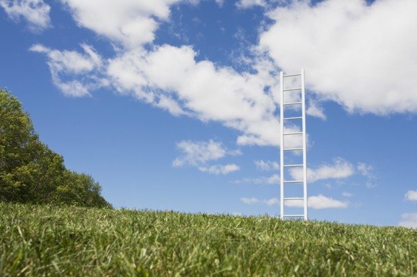 USA, New Jersey, White ladder in field. Photo : Chris Hackett