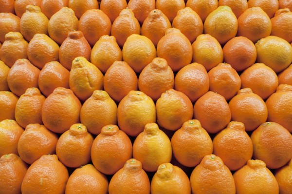 Stack of tangelo on market. Photo : Antonio M. Rosario