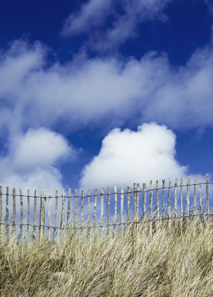 France, Picket fence, grasses and blue sky. Photo: Jon Boyes