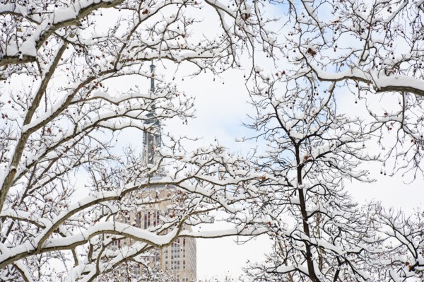 USA, New York, New York City, Empire State Building behind winter trees.