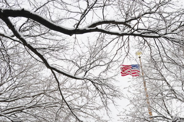 New York City, New York, American Flag and branch of bare tree.