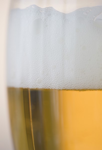 Glass of beer, close-up. Photo : Jamie Grill Photography